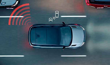 L663 Blind Spot System